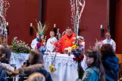 IMG_26810