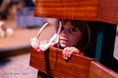 0659_CR6_77374