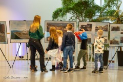 1163_IMG_33036